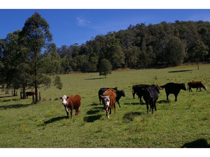 Pappinbarra NSW 2446