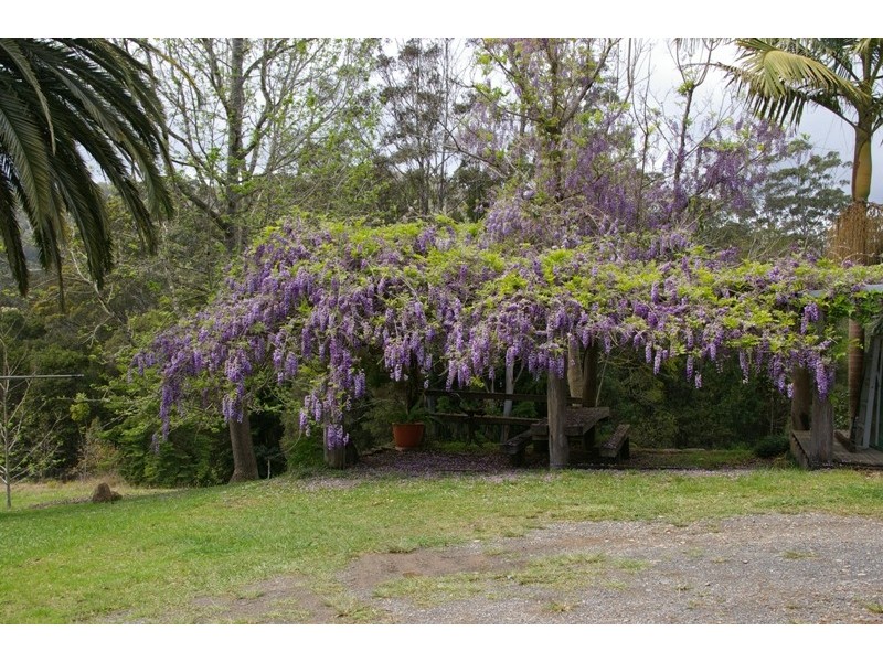 Pappinbarra NSW 2446