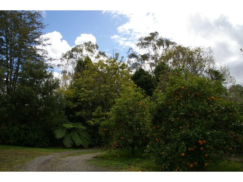 Pappinbarra NSW 2446