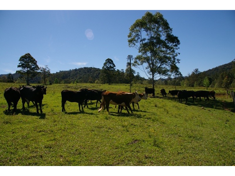 Pappinbarra NSW 2446