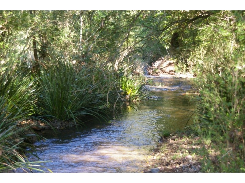 Pappinbarra NSW 2446