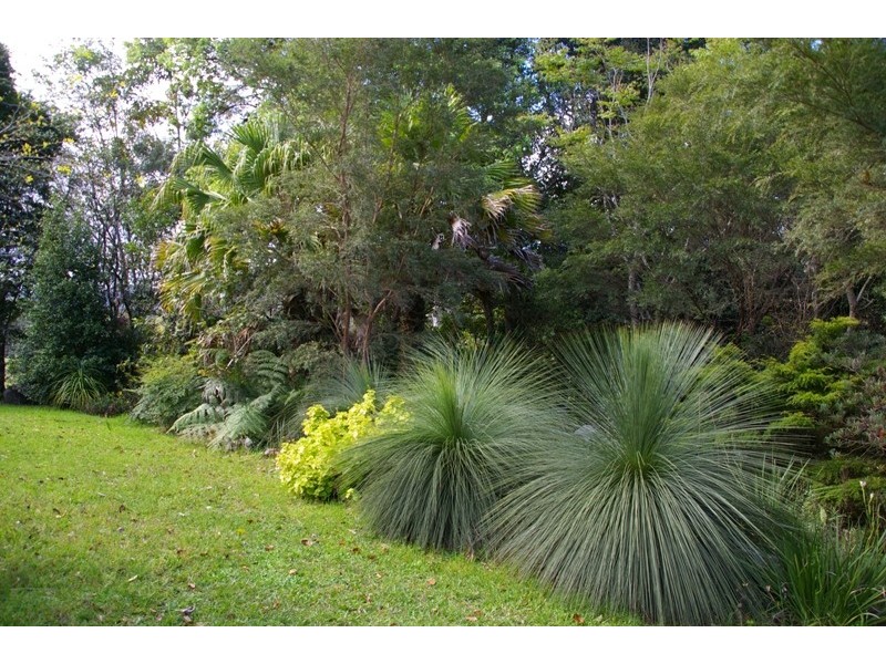 Pappinbarra NSW 2446