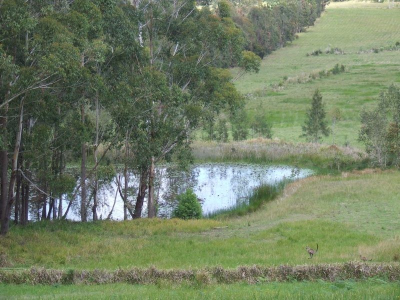 Lake Innes NSW 2446