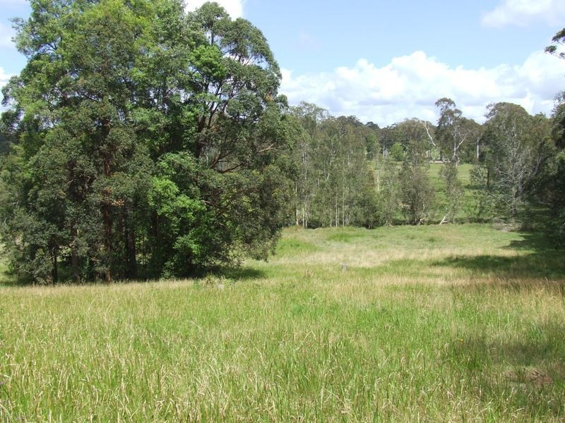 Lake Innes NSW 2446