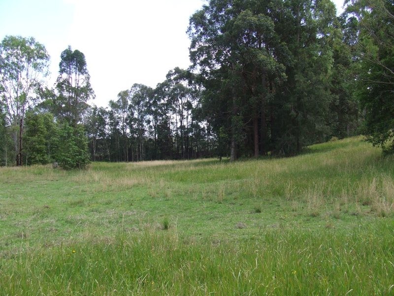 Lake Innes NSW 2446