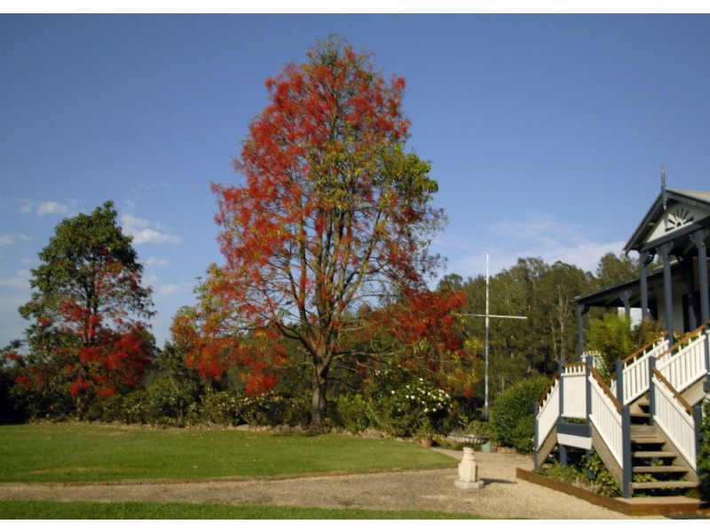 Crescent Head NSW 2440