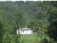 Kindee NSW 2446