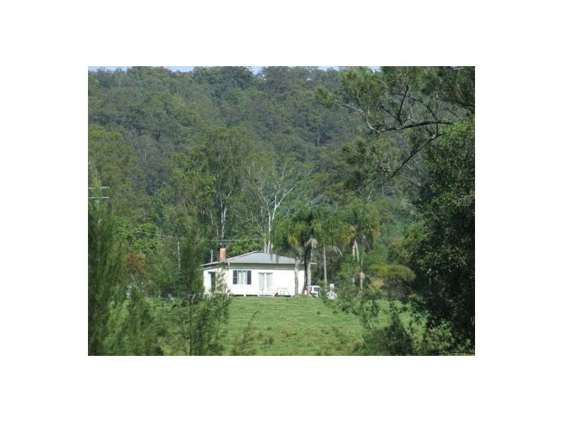 Kindee NSW 2446