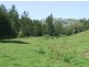 Kindee NSW 2446