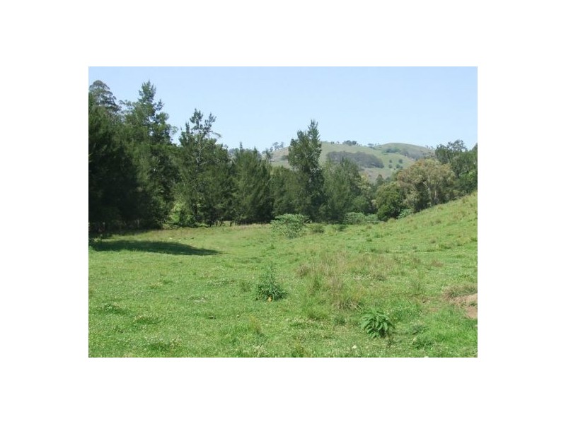 Kindee NSW 2446