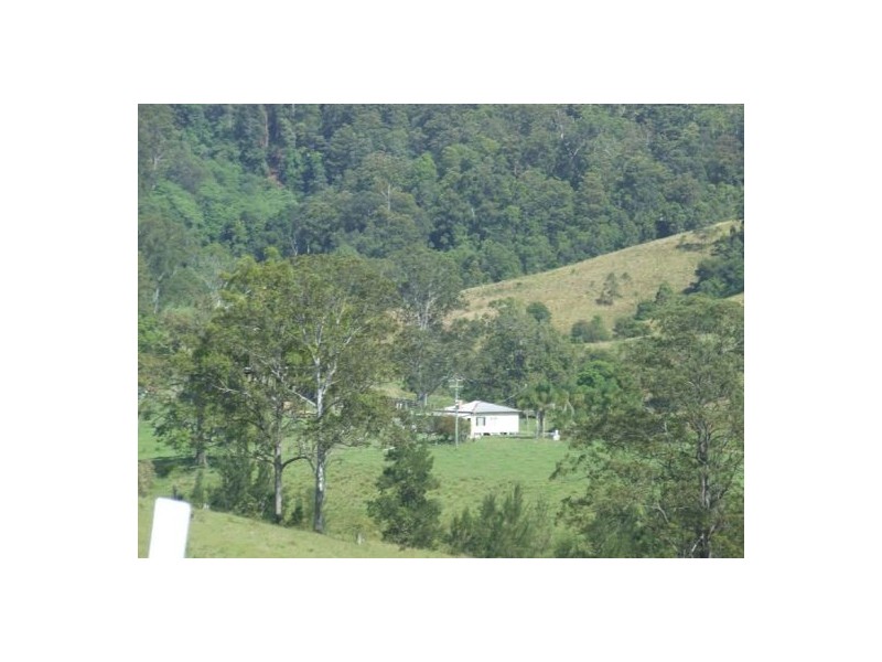 Kindee NSW 2446
