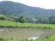 Kindee NSW 2446