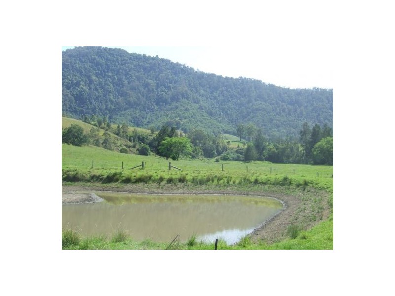Kindee NSW 2446