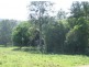 Kindee NSW 2446