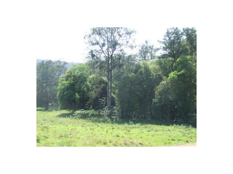 Kindee NSW 2446