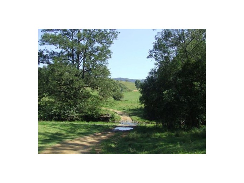 Kindee NSW 2446