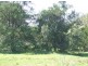 Kindee NSW 2446
