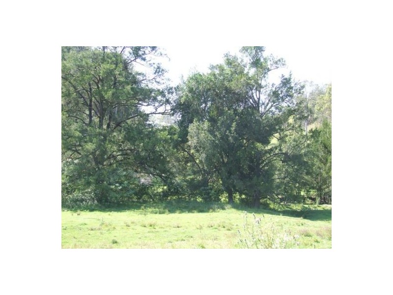 Kindee NSW 2446