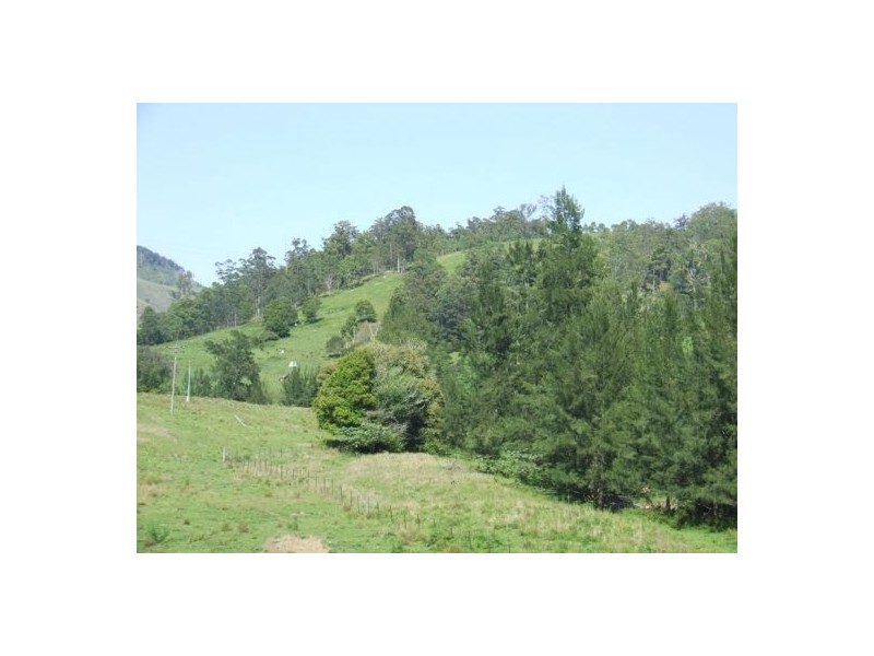 Kindee NSW 2446