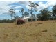 Kempsey NSW 2440