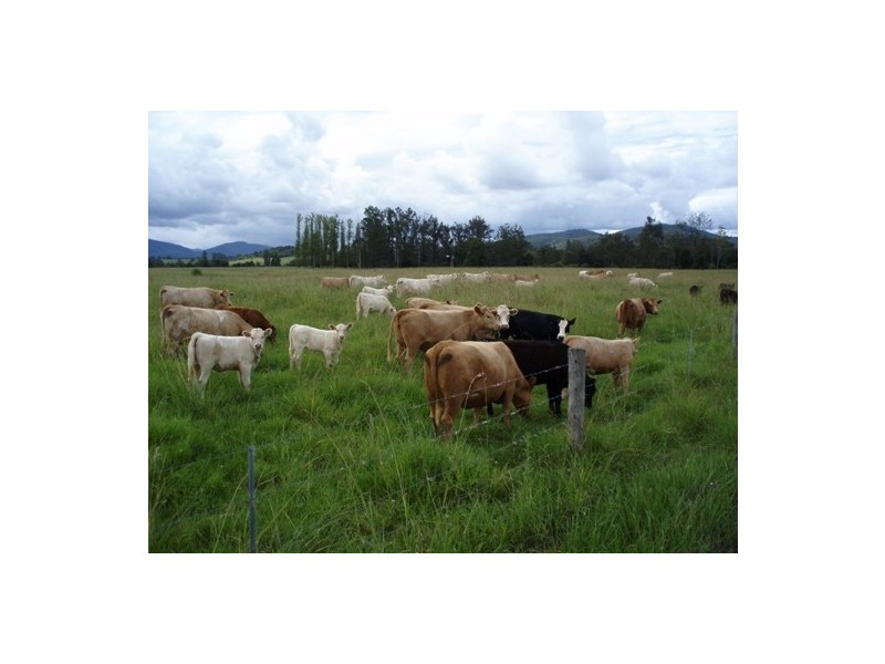 Rollands Plains NSW 2441