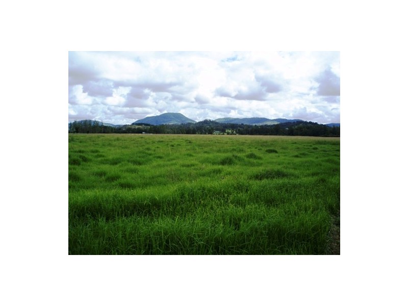 Rollands Plains NSW 2441