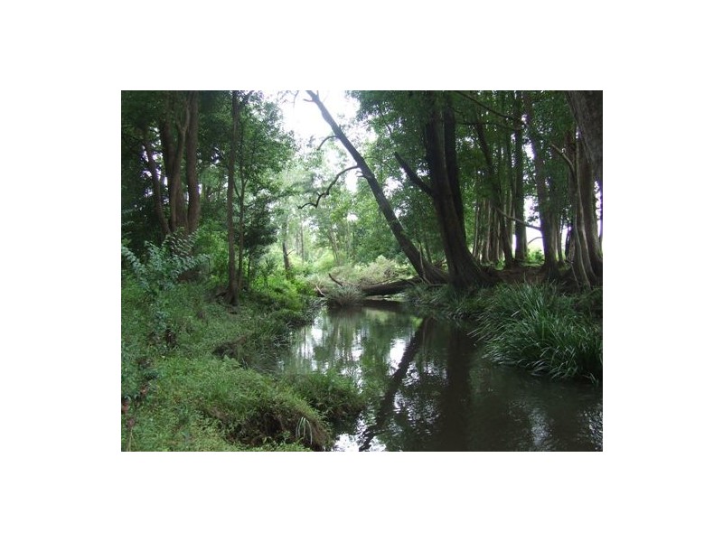 Rollands Plains NSW 2441