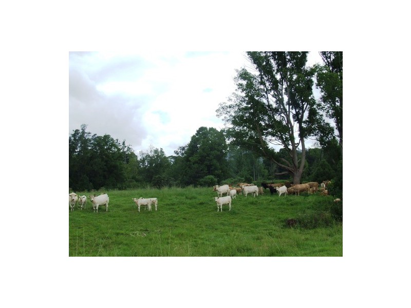 Rollands Plains NSW 2441