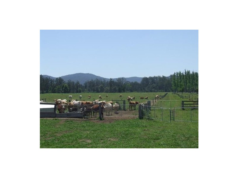 Rollands Plains NSW 2441