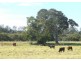 Rawdon Island NSW 2446