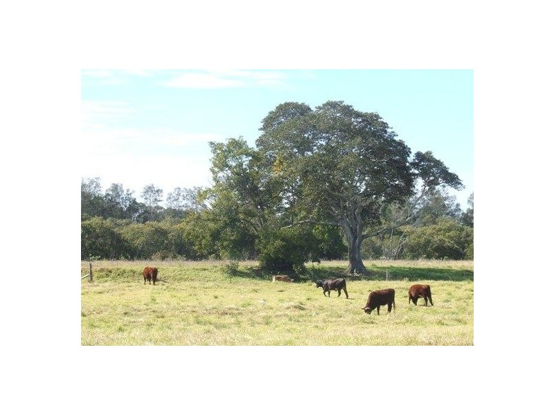 Rawdon Island NSW 2446