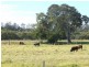 Rawdon Island NSW 2446