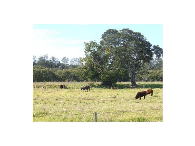 Rawdon Island NSW 2446