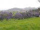 Bellbrook NSW 2440