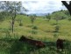 Bellbrook NSW 2440