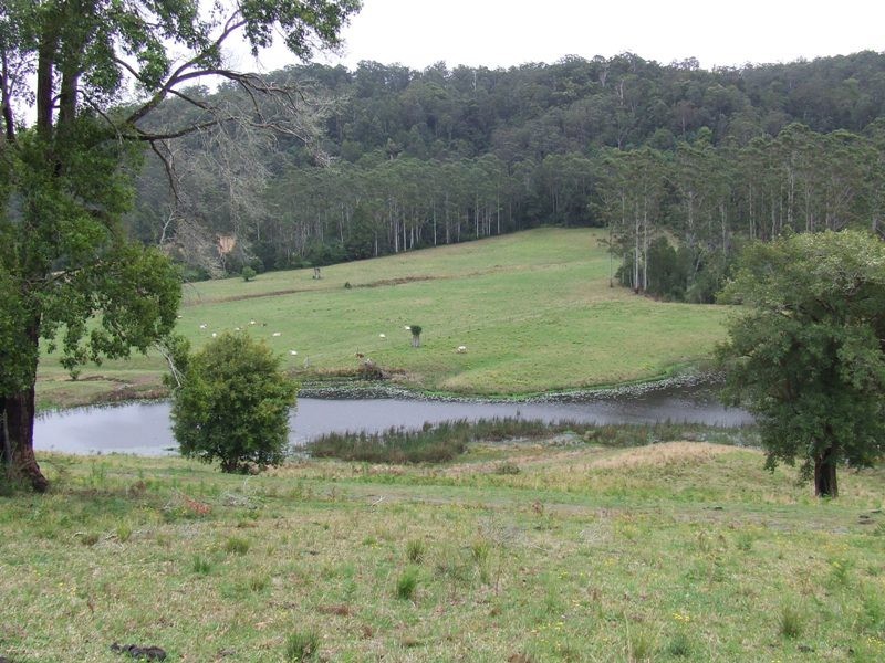 Hannam Vale NSW 2443