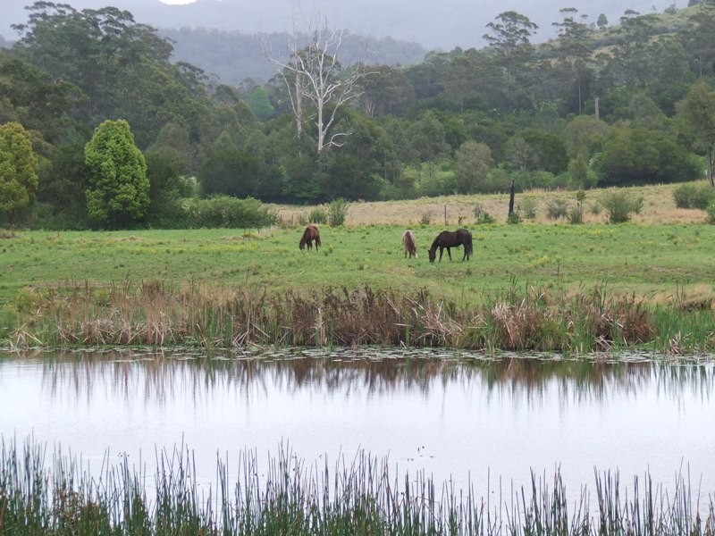 Hannam Vale NSW 2443