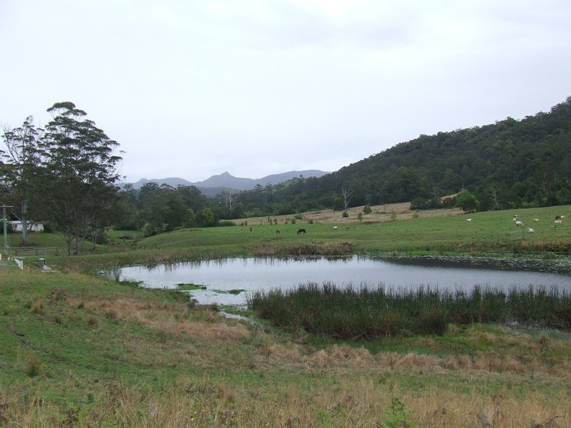 Hannam Vale NSW 2443