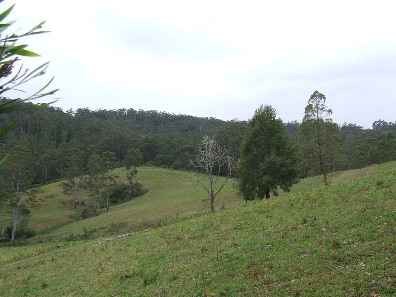 Hannam Vale NSW 2443