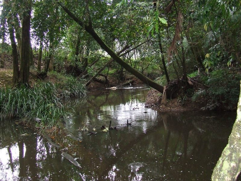 Hannam Vale NSW 2443