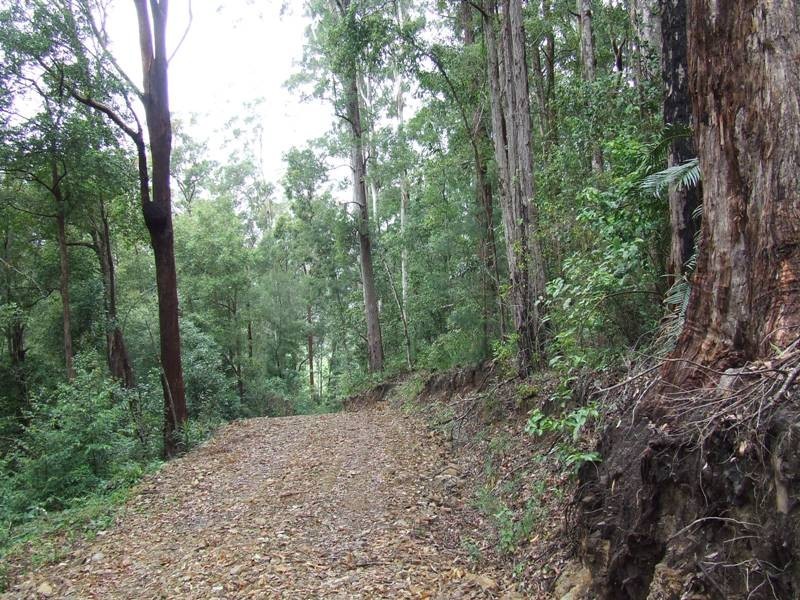 Hannam Vale NSW 2443