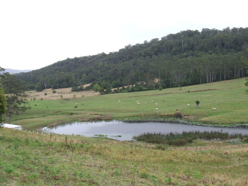 Hannam Vale NSW 2443