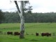 Pipeclay NSW 2446