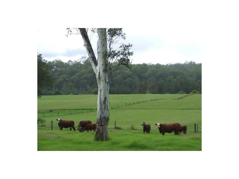 Pipeclay NSW 2446