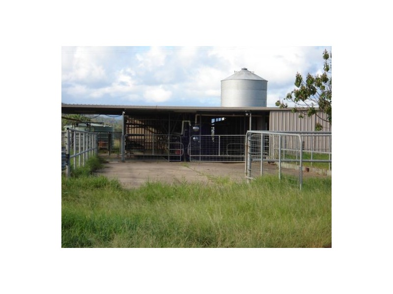 Pipeclay NSW 2446