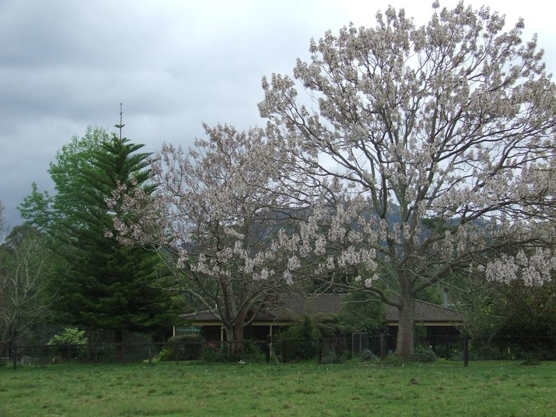 Rollands Plains NSW 2441