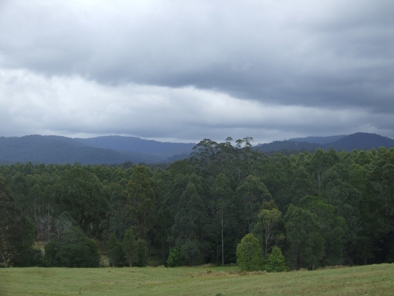 Rollands Plains NSW 2441