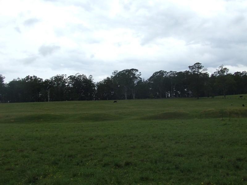 Rollands Plains NSW 2441