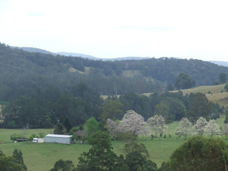 Rollands Plains NSW 2441