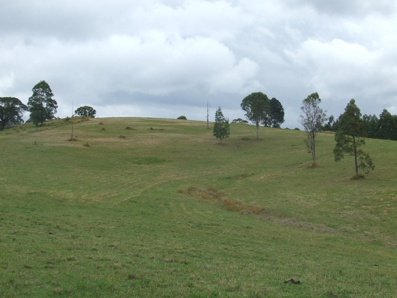 Rollands Plains NSW 2441